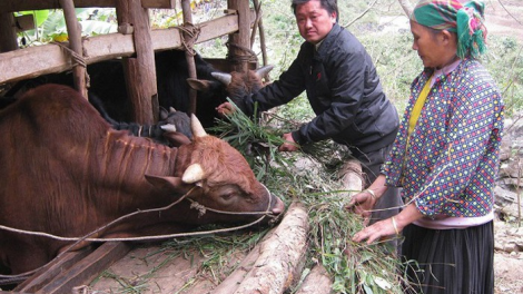 Một năm nhìn lại công tác giảm nghèo