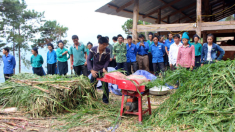 Hà Giang: Lan tỏa các mô hình khởi nghiệp của thanh niên