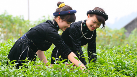 Cô gái Tày mang cả "mùa xuân" bên mình