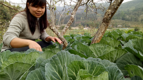 Lên cao nguyên trắng Bắc Hà ở homestay Na Lo