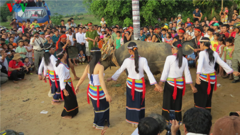 Lễ hội ăn trâu của người Cor