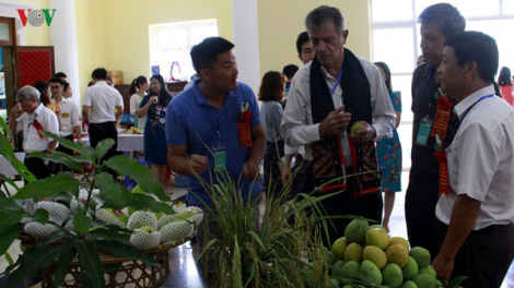 Vì sao nông sản Sơn La đạt giá trị xuất khẩu?