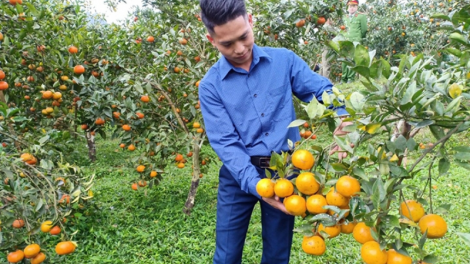 Hiệu quả của nguồn vốn vay tín dụng