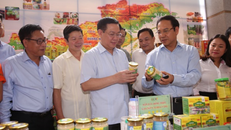Phát huy nội lực của đồng bào thiểu số qua chương trình OCOP