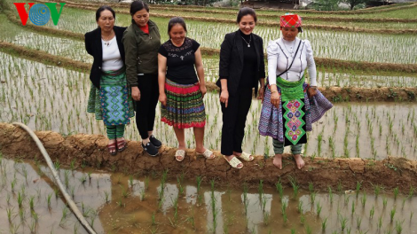 Người phụ nữ Mông vượt khó trên đỉnh Sáng Pao