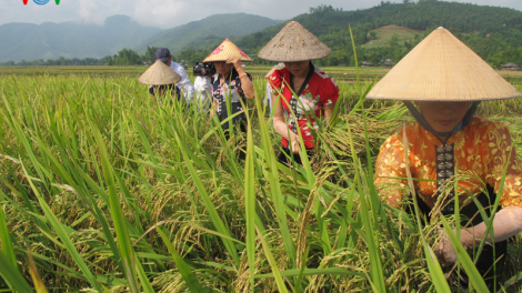 Một năm khởi sắc xây dựng nông thôn mới ở Yên Bái