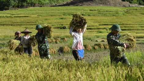 Tuổi trẻ trên biên giới