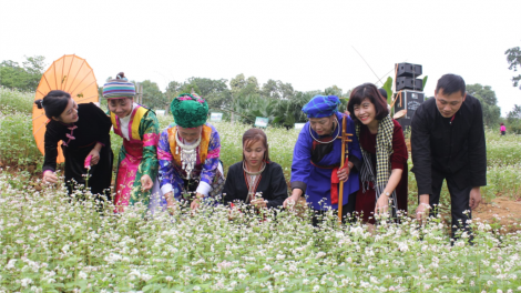 Hân hoan Ngày hội đại đoàn kết tại ngôi nhà chung