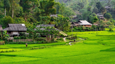 Hành trình khám phá homestay trên cao nguyên Vân Hồ, Sơn La