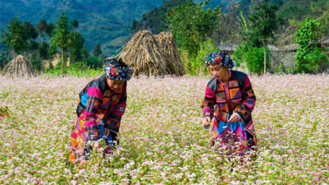 Phòng chống dịch Covid 19- Vẫn phát triển đời sống văn hóa nghệ thuật vùng biên giới