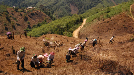 Thiếu đất sản xuất – nguyên nhân đói nghèo