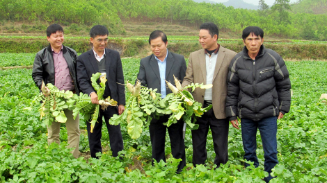 Quỹ hỗ trợ nông dân khuyến khích hội viên phát triển ở Móng Cái