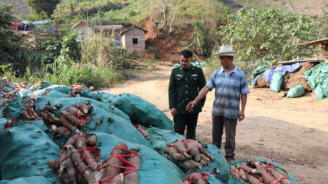 Đổi thay cuộc sống người Mông ở Lũng Pô