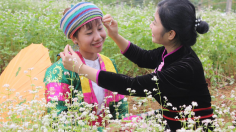 Trải nghiệm thung lũng hoa ở Làng văn hóa