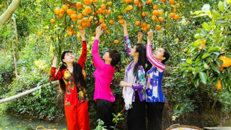 Khám phá Cù lao Tân Quy