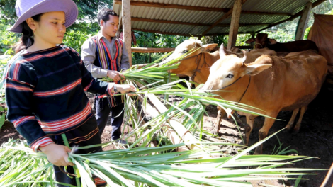 Nâng cao vị thế phụ nữ dân tộc thiểu số