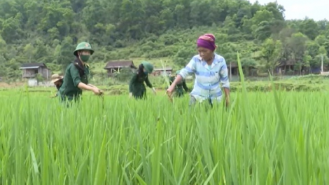 Hiệu quả Chương trình "Đồng hành cùng phụ nữ biên cương"