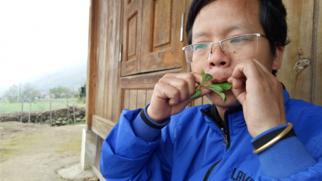 Tiếng kèn lá gọi bạn tình