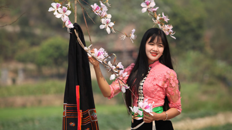 Tháng 3 lên Sơn La ngắm hoa ban nở