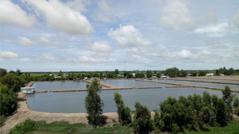Thăm vườn Quốc gia tràm chim - Khu Ramsar thứ 2.000 của thế giới