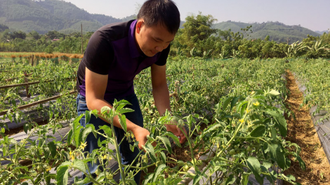 Hiệu quả phong trào khởi nghiệp của thanh niên DTTS tại Bắc Cạn