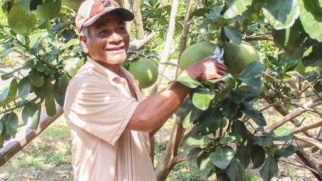 Gương sáng xây dựng nông thôn mới