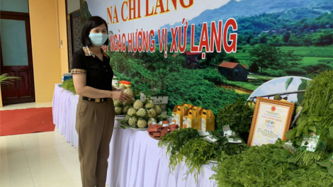 Lạng Sơn: Đẩy mạnh phát triển kinh tế số