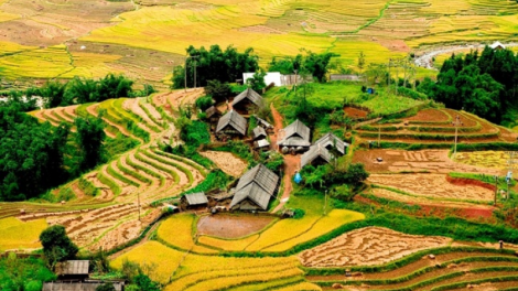 Sống "chậm" ở Tả Phìn