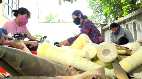 Người dân vùng sạt lở núi Quảng Nam góp nông sản gửi vào phía Nam