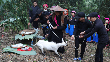 Nét đẹp trong văn hóa người Pu Péo