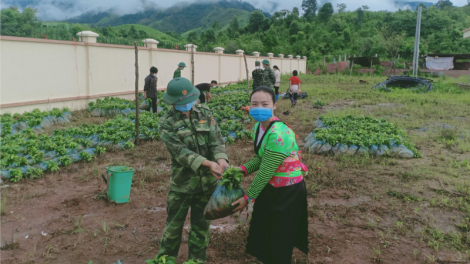 ​Mô hình “Giúp dân phát triển kinh tế từ cây quế trên diện tích đất nhàn rỗi”