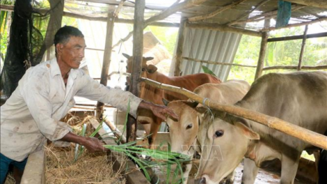 Vĩnh Long: Hiệu quả chính sách phát triển KT - XH vùng đồng bào dân tộc Khơ me