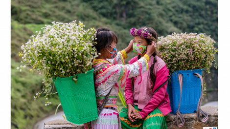 Vẻ đẹp bình dị của đồng bào Hà Giang trong lao động và phòng dịch