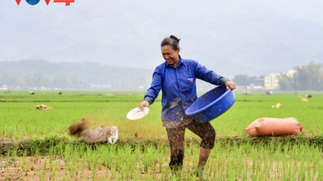 Nông dân Yên Bái hối hả xuống đồng sản xuất vụ xuân