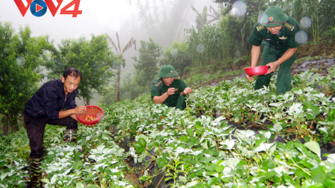 Bộ đội biên phòng Lai Châu cùng dân xây những mùa vàng