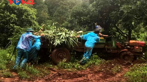 Cuộc sống người dân khu phong tỏa ở buôn vùng sâu