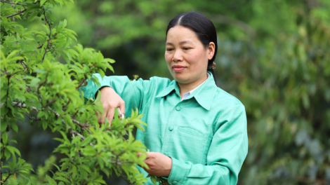 Người “truyền lửa” cho hội viên phụ nữ bản tái định cư Chiềng Yên