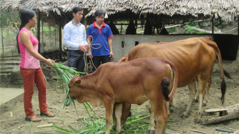 “Quỹ hỗ trợ nông dân” – Số vốn nhỏ, hiệu quả lớn