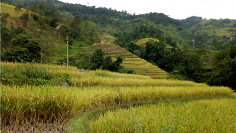 Ruộng bậc thang - Bài ca của đức tính cần cù, nhẫn nại