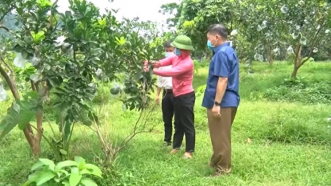 Tháo gỡ khó khăn trong thực hiện chính sách vùng DTTS và miền núi