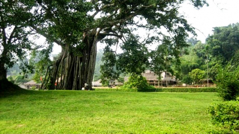 Thăm khu di tích lịch sử Quốc gia đặc biệt Tân Trào