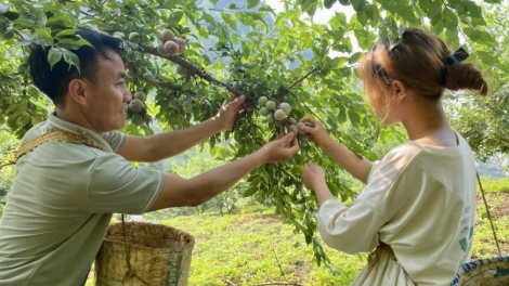 Thủ tướng sẽ đối thoại với nông dân