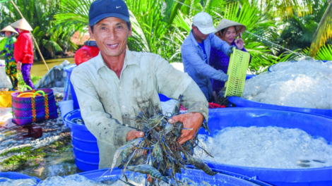 Hồng Dân: Phát huy nguồn vốn quỹ hỗ trợ nông dân
