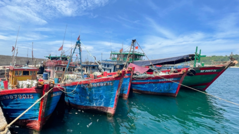 Khám phá đảo tiền tiêu Bạch Long Vĩ