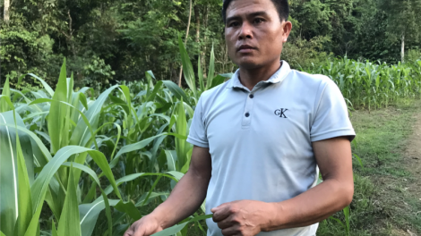 Hà Văn Nguy - Người uy tín của bản Bướt