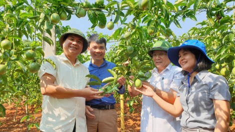 Bức tranh đổi thay ở vùng biên giới Việt - Lào