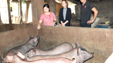 Mô hình “ba không” của chi hội phụ nữ thôn Nà Sát