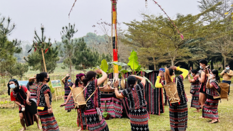 Lễ cúng lúa mới của người Cơ Tu ở Nam Đông