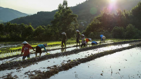 Ngắm mùa nước đổ trên vùng rẻo cao biên giới Bình Liêu, Quảng Ninh