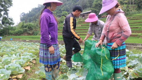 Những mầm xanh trên miền đá Sính Lủng